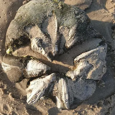 Apartment Impresja 42 Z Garazem *