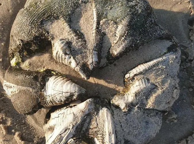 公寓 Impresja 42 Z Garazem *